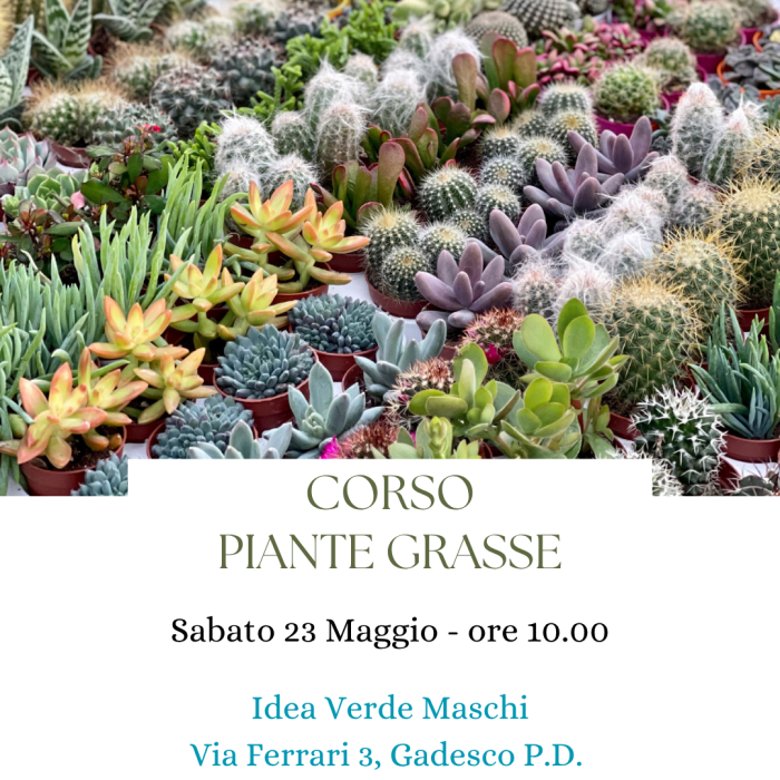 Corso Piante Grasse