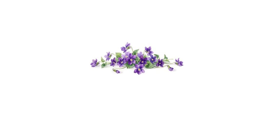 Il fiore: perché alcune piante scelgono di fiorire in autunno?