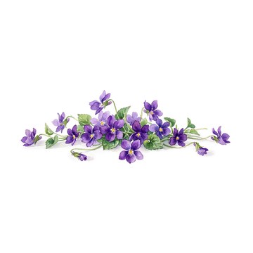 Il fiore: perché alcune piante scelgono di fiorire in autunno?